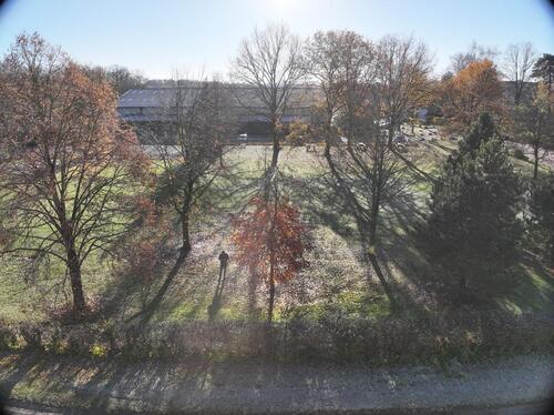 Foto - Etagenwohnung in Vordorf zur Miete