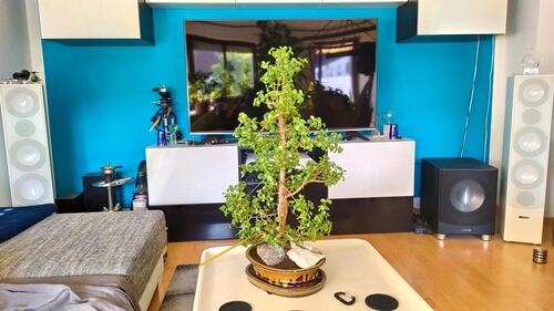 Foto - Möblierte 2 ZKB Wohnung im Universitätsviertel