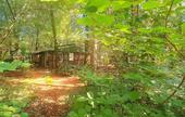 Foto - #ÄLTERES, KLEINES HAUS,AUF RIESIGEM WALDGRUNDSTÜCK,OHNE COURTAGE#