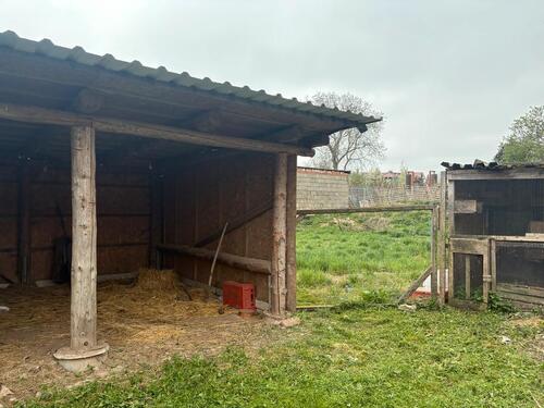 Foto - Einfamilienhaus in Hettstedt zum Kaufen