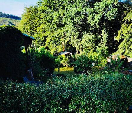 Foto - Kleingarten abzugeben - 650,00 EUR Kaltmiete, ca.  0,00 m²