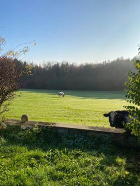 Foto - Einfamilienhaus in Irsee