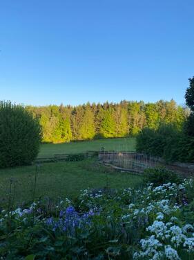 Foto - Einfamilienhaus in Irsee zum Kaufen
