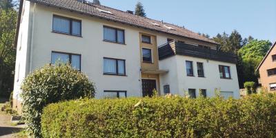 Foto - großzügige 2 Zimmer-Wohnung mit Terrasse in Neuhaus im Solling zu vermieten