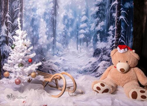 Foto - Foto-Mietstudio Weihnachten - 50,00 EUR Kaltmiete,