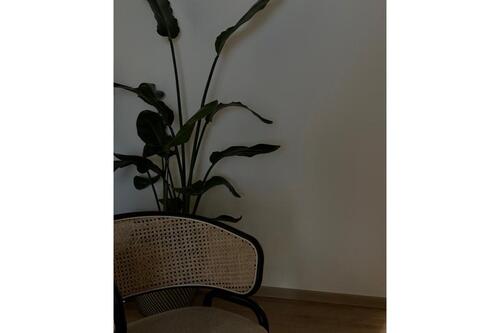 Foto - andere in Köln zur Miete