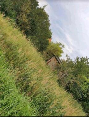 Foto - Grundstück in Zehdenick zur Miete