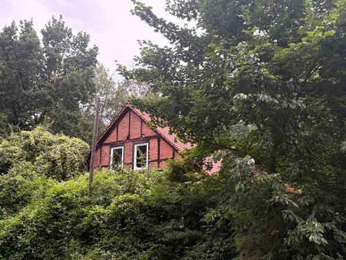 Foto - 7.5 Zimmer Einfamilienhaus zum Kaufen in Erxleben