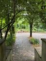 Foto - Einfamilienhaus in Erxleben zum Kaufen