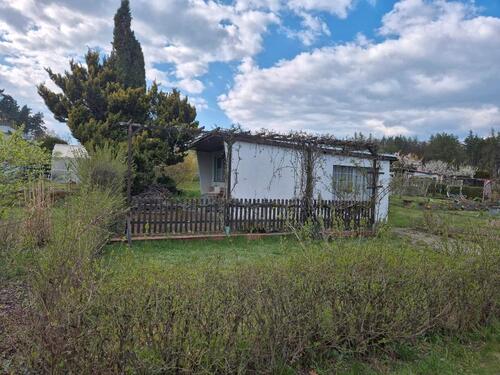 Foto - Pachtgarten Kleingarten Garten 340m² in Radeberg