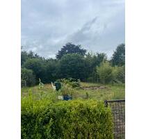 Schrebergarten - 3.000,00 EUR Kaltmiete, ca.  0,00 m² in Nortorf (PLZ: 24589)