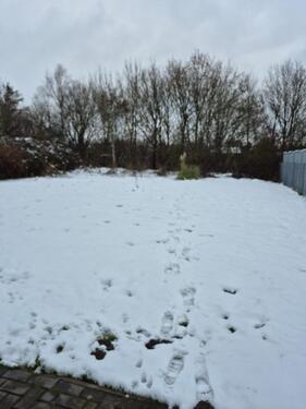 Foto - andere in Delmenhorst zur Miete