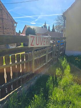 Foto - 4 Zimmer Einfamilienhaus zum Kaufen in Peitz