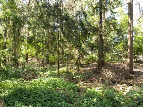 Foto - Etagenwohnung in Sottrum