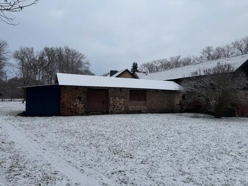 Foto - Bauernhaus, Landhaus in Groß Köris zum Kaufen