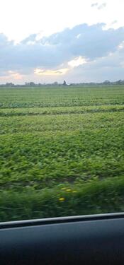 Foto - Zuche ein WG zimmer - 250,00&nbsp;EUR Kaltmiete, ca.&nbsp; 20,00&nbsp;m&sup2;