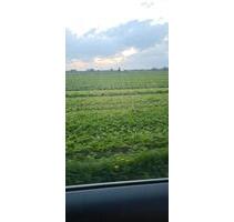 Zuche ein WG zimmer - 250,00&nbsp;EUR Kaltmiete, ca.&nbsp; 20,00&nbsp;m&sup2; in Essen (PLZ: 45327) Stadtbezirk VI