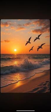 Foto - andere in Benz zur Miete