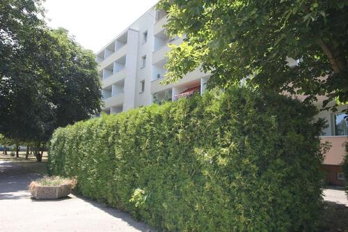 Foto - Barrierearmes Wohnen im Grünen - 220,00&nbsp;EUR Kaltmiete, ca.&nbsp; 38,54&nbsp;m&sup2;