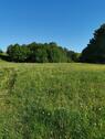 Foto - Grundstück in Lasel zur Miete