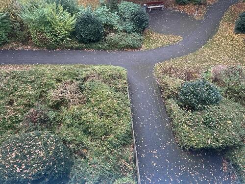 Foto - Wohnung, Mietwohnung Grünhöfe - 553,00 EUR Kaltmiete, ca.  53,50 m²