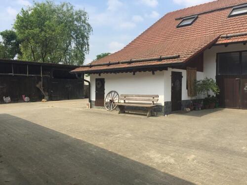 Foto - 5 Zimmer Einfamilienhaus in Grattersdorf
