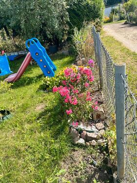 Foto - Grundst&uuml;ck zur Miete in Greifswald