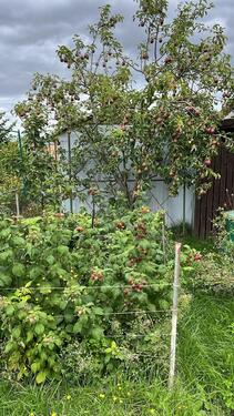 Foto - Grundst&uuml;ck in Greifswald zur Miete