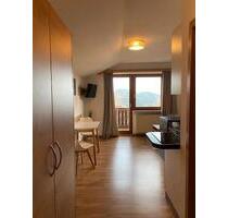 2 Zimmerapartment - 550,00&nbsp;EUR Kaltmiete, ca.&nbsp; 30,00&nbsp;m&sup2; in Traitsching (PLZ: 93455)