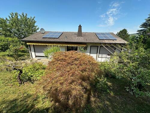 Foto - Ein- bis Zweifamilienhaus in Traumlage in Müllheim