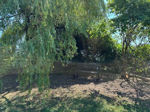 Foto - Einfamilienhaus in Müllheim zur Miete