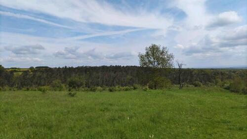 Foto - Garten in wenigensömmern - 1.500,00 EUR Kaltmiete, ca.  0,00 m²