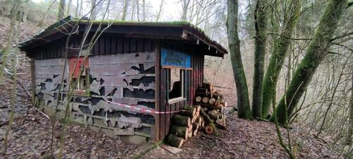 Foto - Waldgrundstück Wochenendgrundstück in Berschweiler - Marpingen