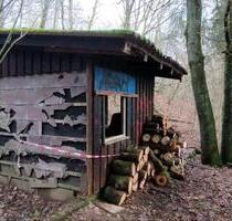 Waldgrundstück Wochenendgrundstück in Berschweiler - Marpingen - Heusweiler
