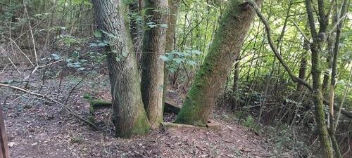 Foto - Grundst&uuml;ck in Heusweiler