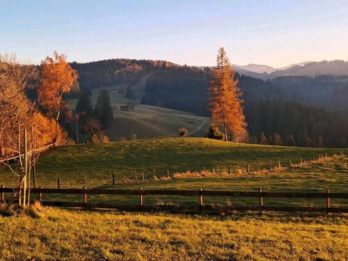Foto - 3 Zimmer Etagenwohnung zur Miete in Stiefenhofen