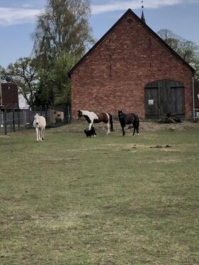Foto - 7 Zimmer Mehrfamilienhaus, Wohnhaus in Lübz