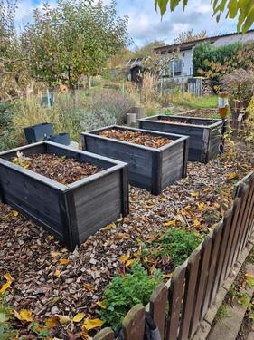 Foto - Grundstück in Neubrandenburg
