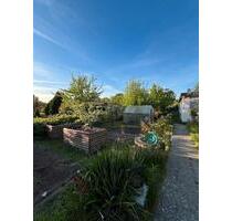 Wunderschöner Kleingarten in Reutershagen - Lambrechtshagen