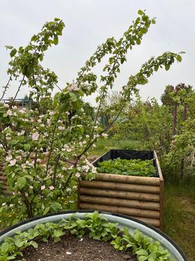 Foto - Grundst&uuml;ck zur Miete in Lambrechtshagen