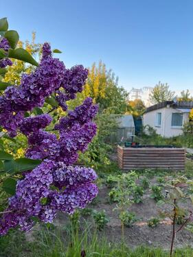 Foto - Grundst&uuml;ck in Lambrechtshagen