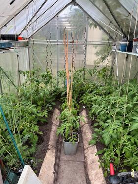 Foto - Grundst&uuml;ck in Lambrechtshagen zur Miete