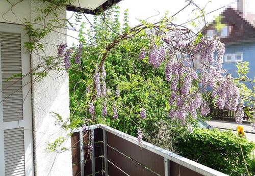 Foto - 1 Zimmer Etagenwohnung in Stuttgart