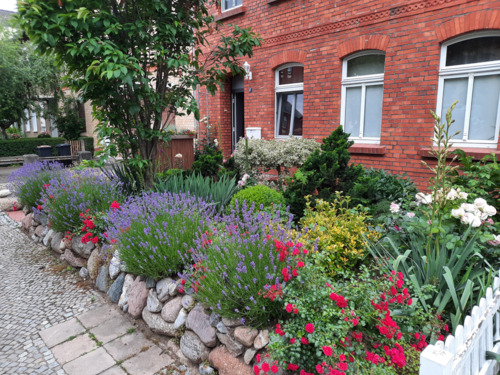 Foto - 6 Zimmer Reihenhaus zum Kaufen in Sangerhausen