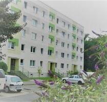 Neu gestaltete 2Raumwohnung am Stadtpark. - Wurzen