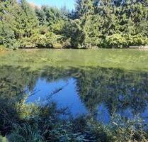 Fischweiher, Weiher, Freizeitgrundstück in Erding - Unterschleißheim