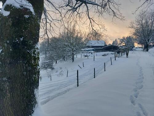 Foto - BAUERNHOF - PFERDEHOF - 4 HEKTAR WEIDE - LEBEN MIT TIEREN