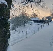 BAUERNHOF - PFERDEHOF - 4 HEKTAR WEIDE - LEBEN MIT TIEREN - Windeck