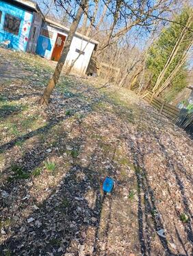 Foto - schrebergarten - 1.000,00&nbsp;EUR Kaltmiete, ca.&nbsp; 0,00&nbsp;m&sup2;