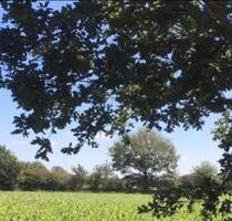 Modernes Wohnen in einer ruhigen und idyllischen Feldrandlage. - Großenwiehe